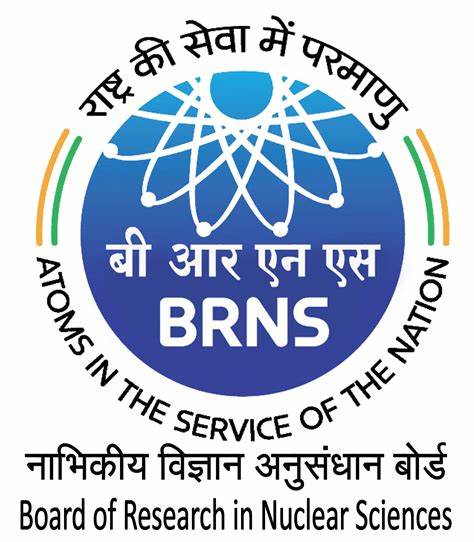 BRNS Logo